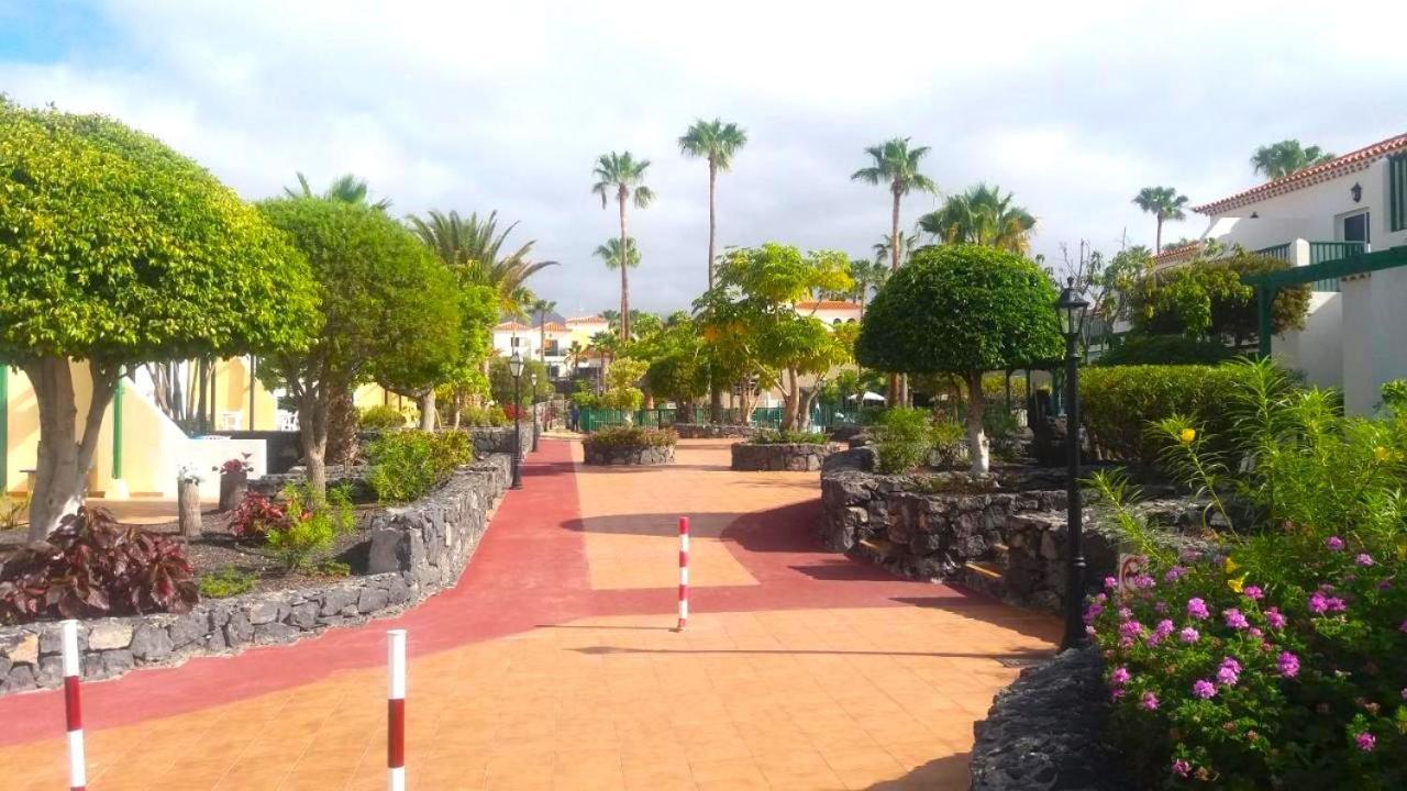 Tenerifehause San Miguel de Abona Zewnętrze zdjęcie
